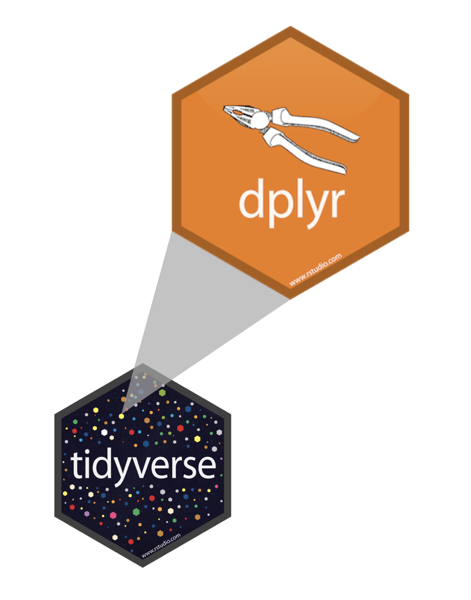 Cven Summer Data Transformation With Dplyr